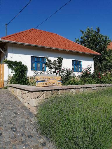 Csenduelo Vendeghaz Apartment Noszvaj Luaran gambar