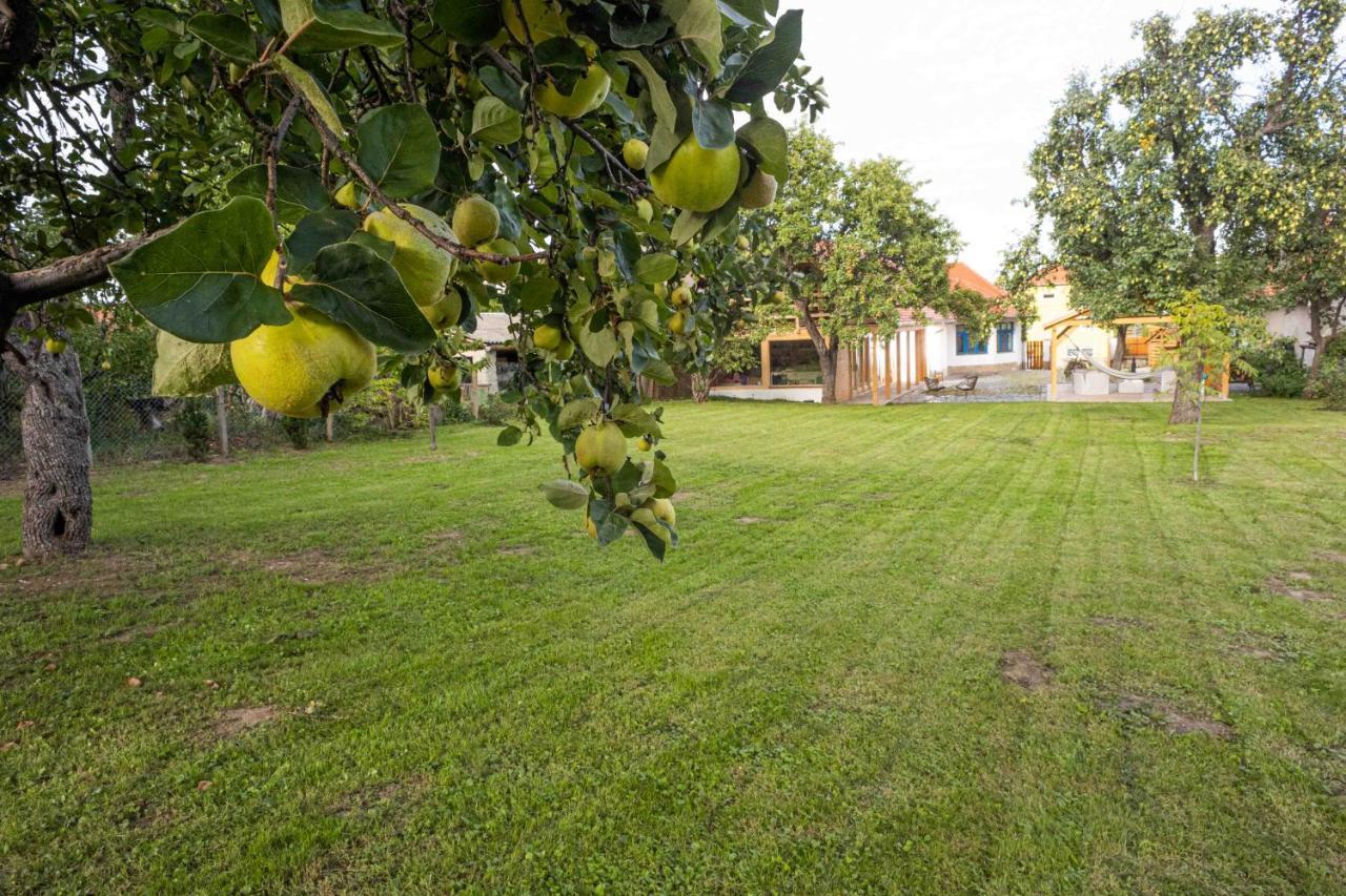 Csenduelo Vendeghaz Apartment Noszvaj Luaran gambar